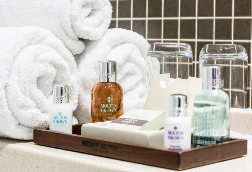 Fotos del hotel Montagu Place:  33