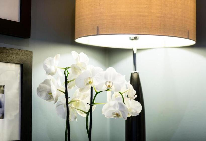 Fotos del hotel Montagu Place:  18