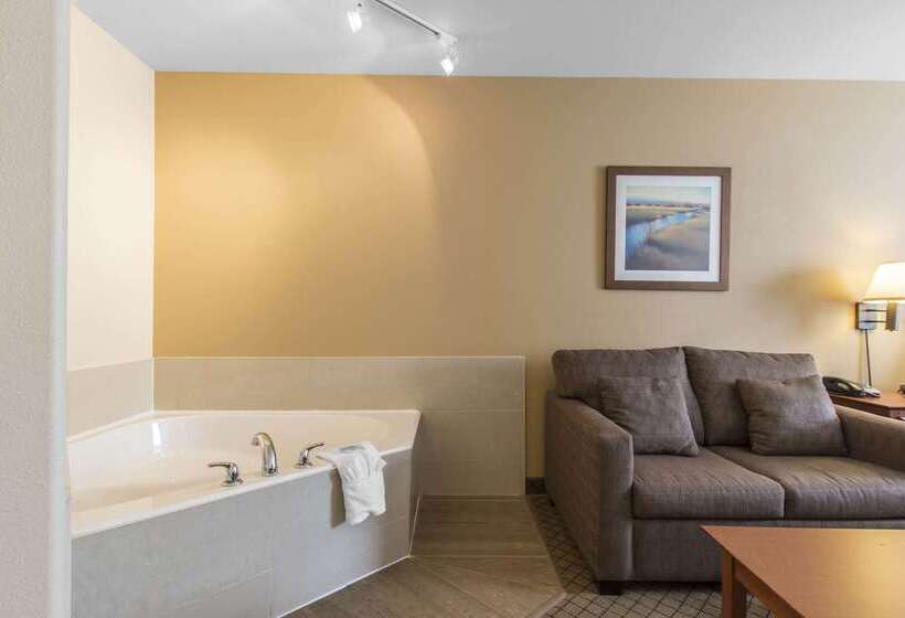 هتل Quality Inn Airport