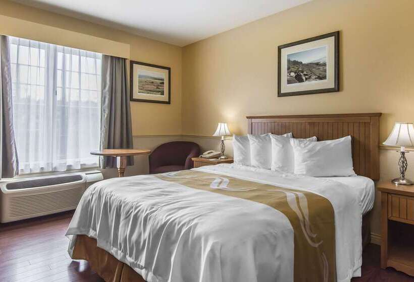 هتل Quality Inn Riviereduloup