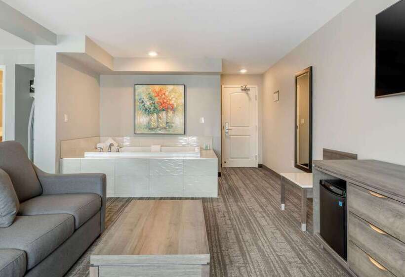 هتل Quality Inn & Suites Amsterdam