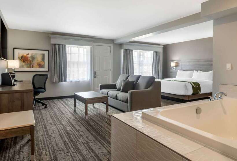 هتل Quality Inn & Suites Amsterdam