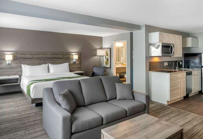 هتل Quality Inn & Suites Amsterdam