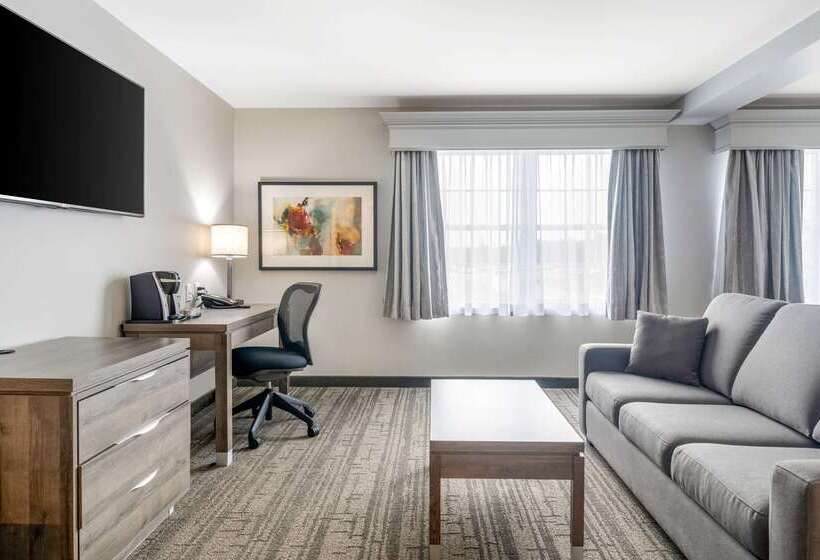هتل Quality Inn & Suites Amsterdam