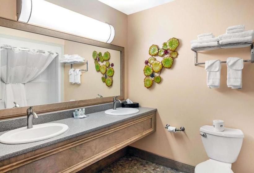 فندق Quality Inn & Suites