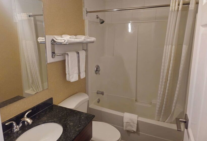 هتل Rodeway Inn & Suites