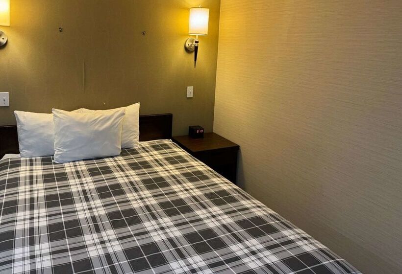 هتل Rodeway Inn & Suites