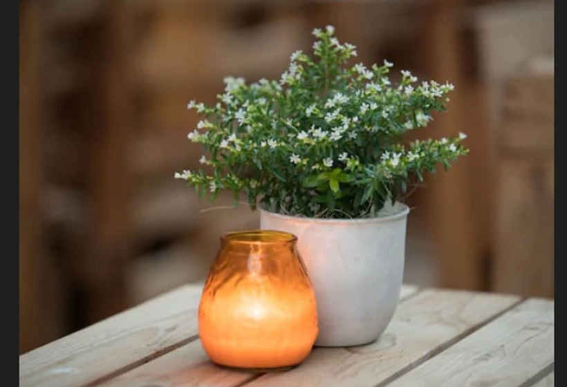 Fotos del hotel Azimut Hotel Vienna:  43