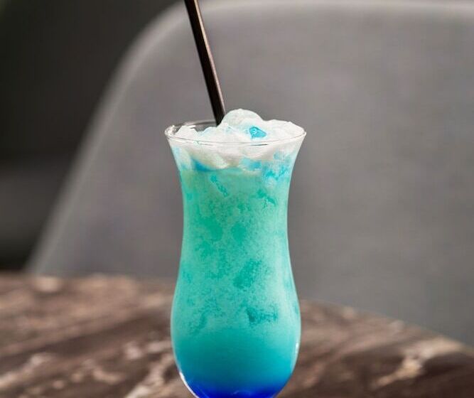 Fotos del hotel Azimut Hotel Vienna:  17