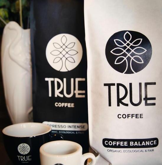 Fotos del hotel Villa Emilia:  41