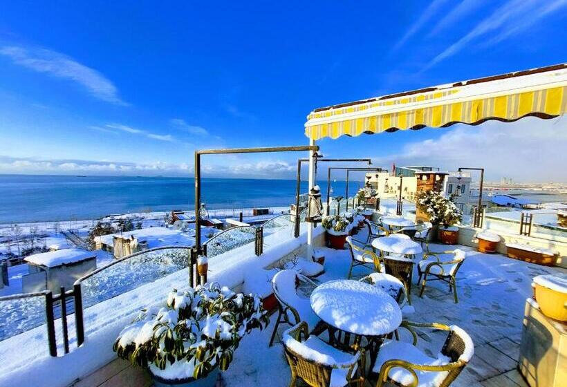 Fotos del hotel Artefes  Old City & Spa:  24