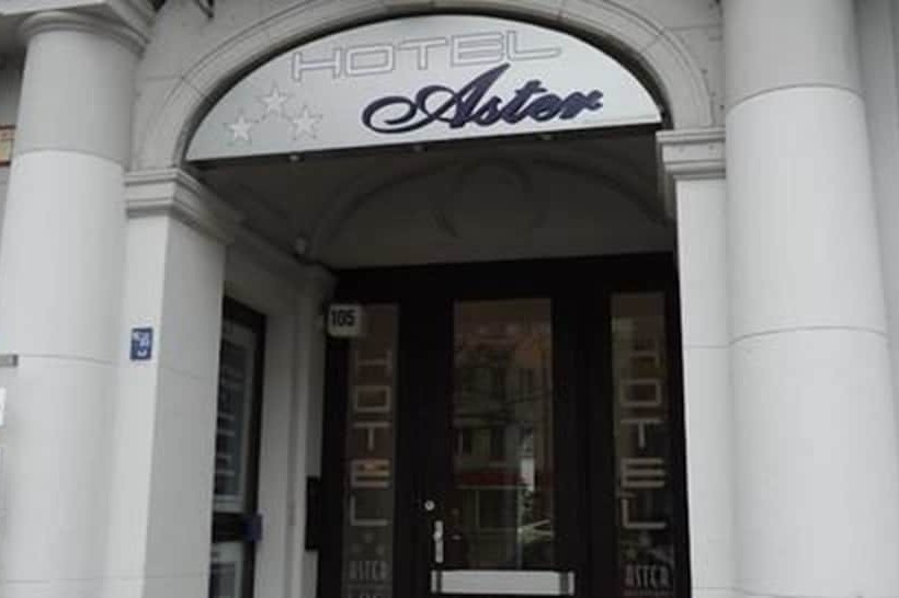 Fotos del hotel Aster An Der Messe:  53