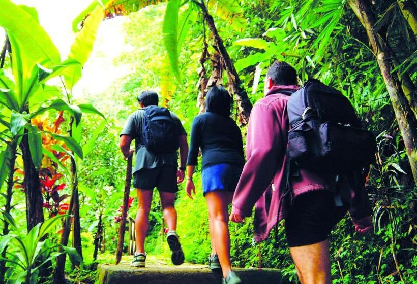 Fotos del hotel Bagus Jati Health & Wellbeing Retreat:  16