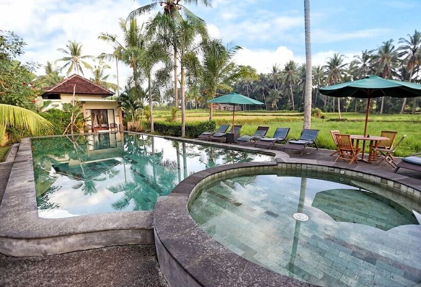 Fotos del hotel Bhanuswari Resort & Spa:  8