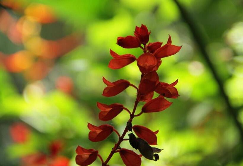 هتل Campestre La Floresta