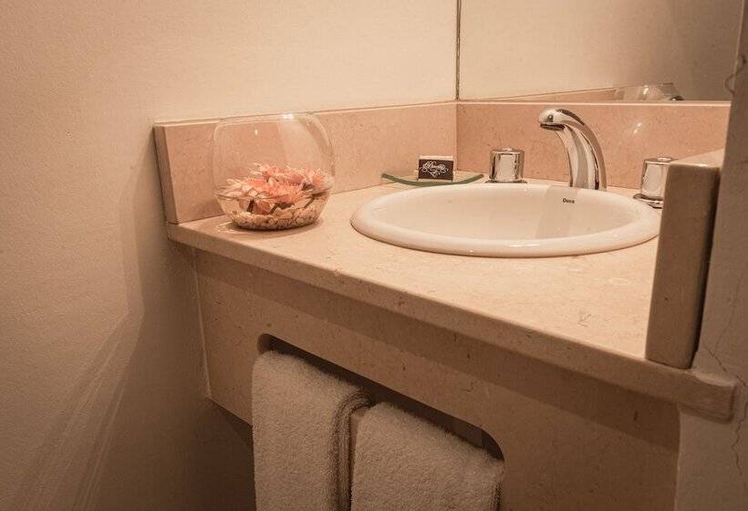 Fotos del hotel Duomi Plaza:  21