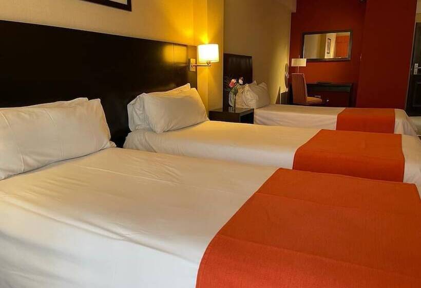 Fotos del hotel Duomi Plaza:  2