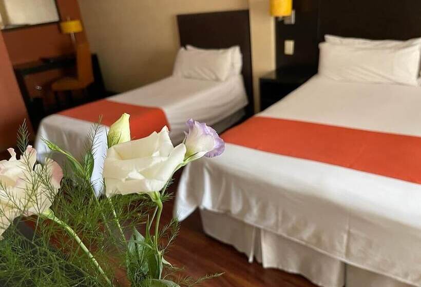 Fotos del hotel Duomi Plaza:  6