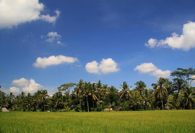 Fotos del hotel Junjungan Ubud Hotel And Spa:  39