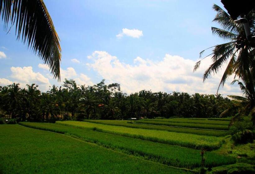 Fotos del hotel Junjungan Ubud Hotel And Spa:  18