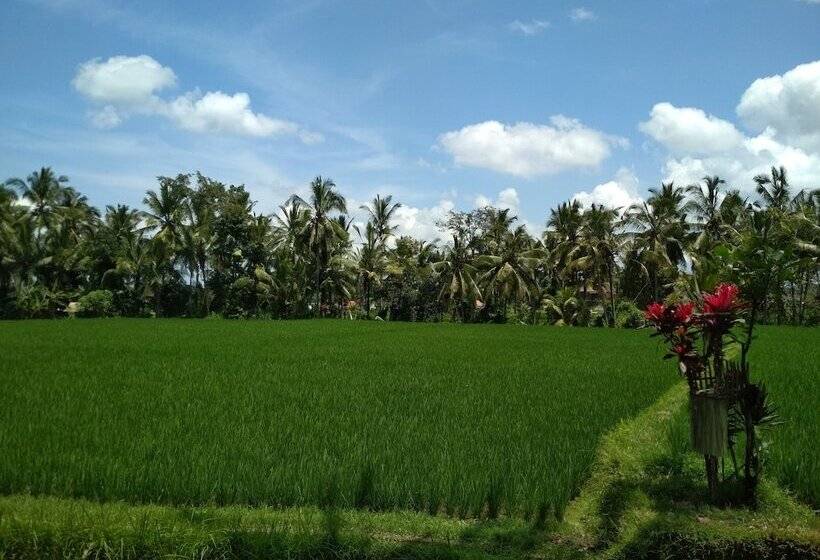 Fotos del hotel Junjungan Ubud Hotel And Spa:  7
