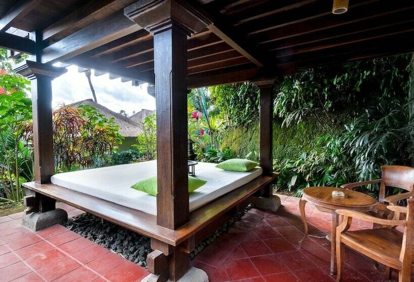 Fotos del hotel Natura Resort And Spa:  12