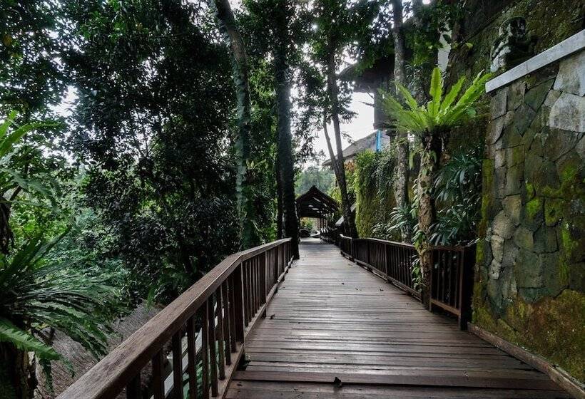 Fotos del hotel Natura Resort And Spa:  5