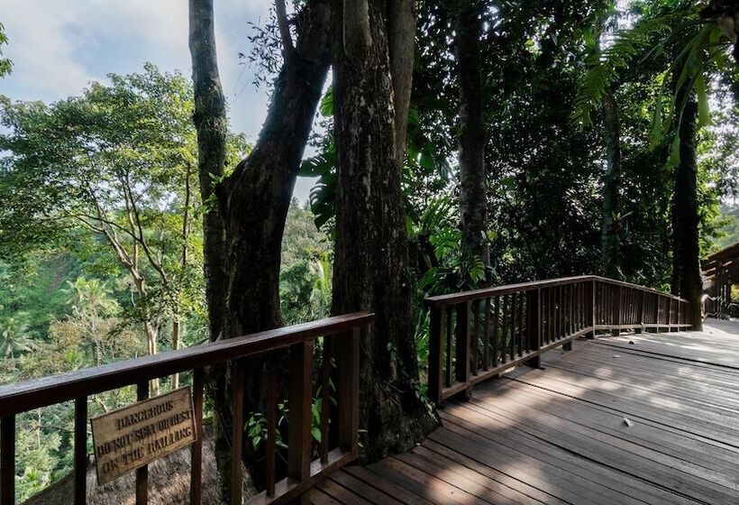 Fotos del hotel Natura Resort And Spa:  4