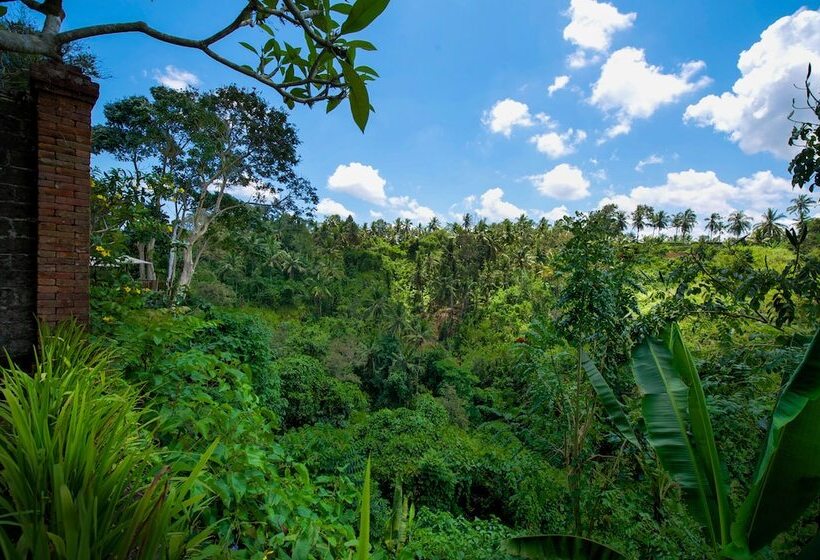 Fotos del hotel Natura Resort And Spa:  28