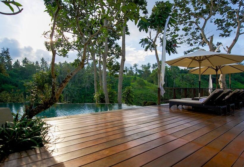 Fotos del hotel Natura Resort And Spa:  3