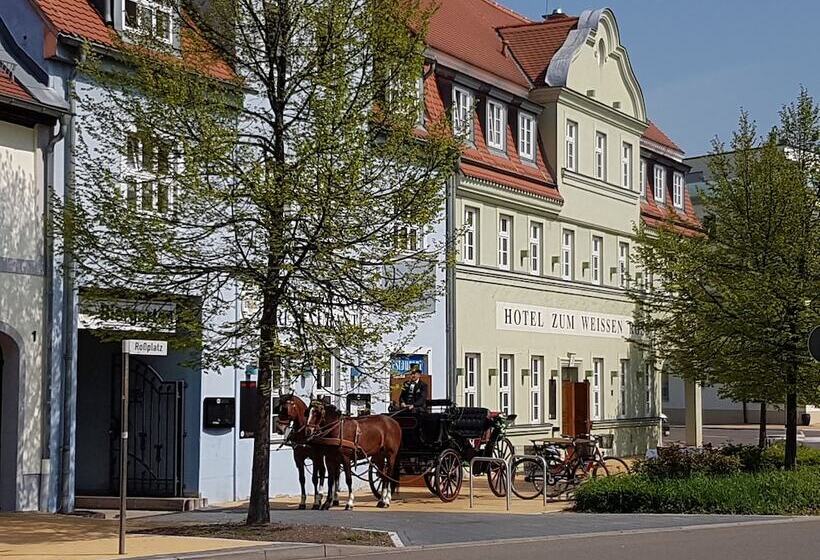 هتل Zum Weissen Ross