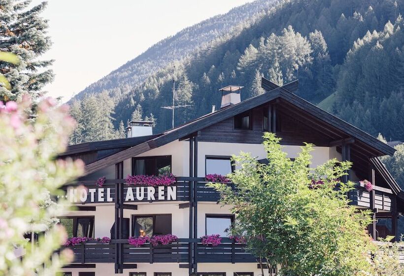 Отель Auren