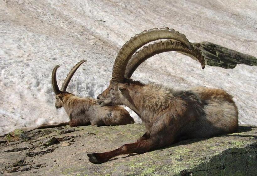 酒店 La Rocca Sport & Benessere