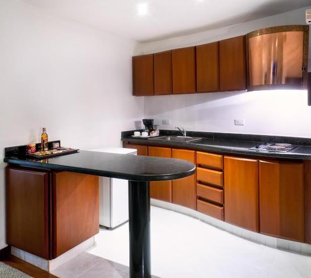 Fotos del hotel Richmond Suites:  16
