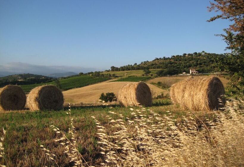 Quercia Rossa