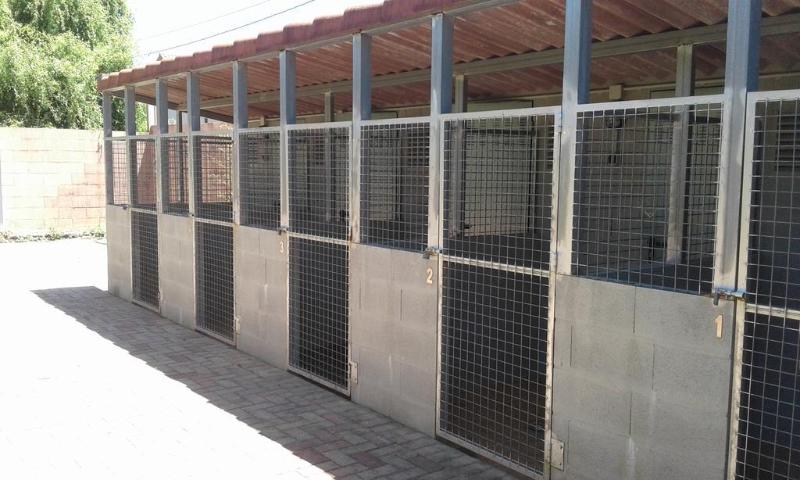 Apartamentos Dena