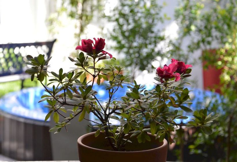 Fotos del hotel Cahuel Buenos Aires Hotel:  41