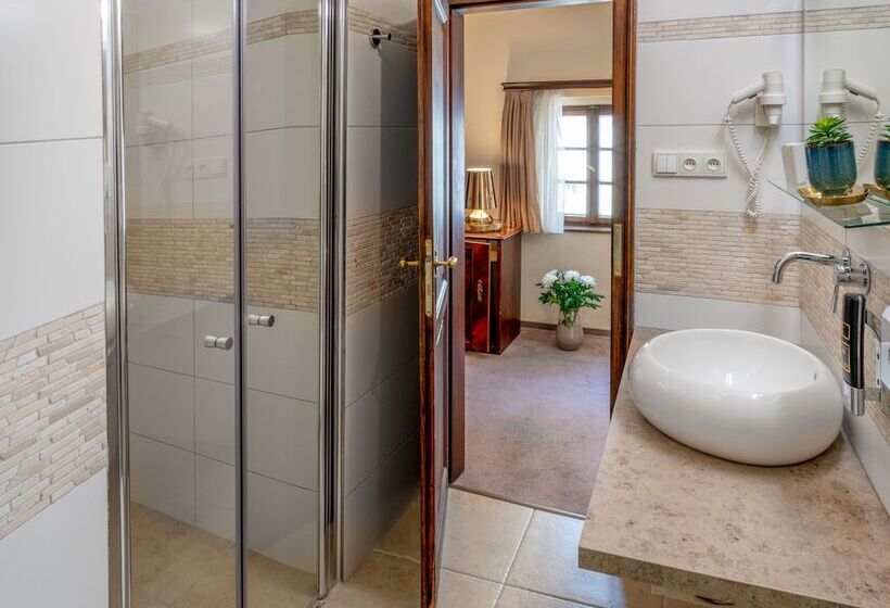 Fotos del hotel Aurus:  14