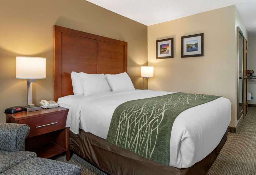 בית מלון כפרי Comfort Inn & Suites Dimondale   Lansing