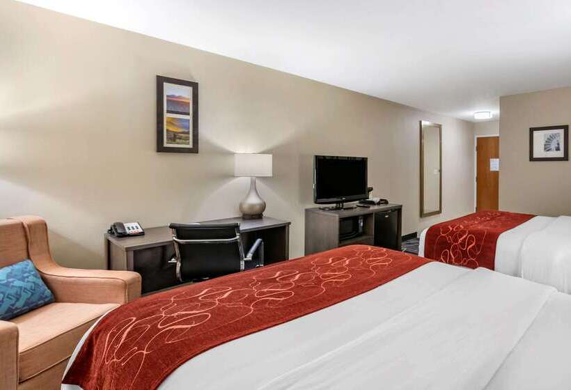 فندق Comfort Inn & Suites