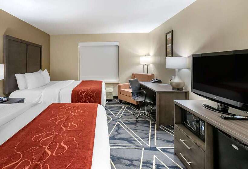 فندق Comfort Inn & Suites