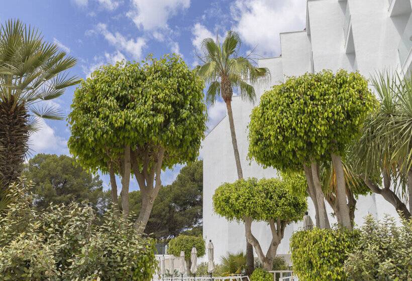 ホテル HM Isabela - Adults Only