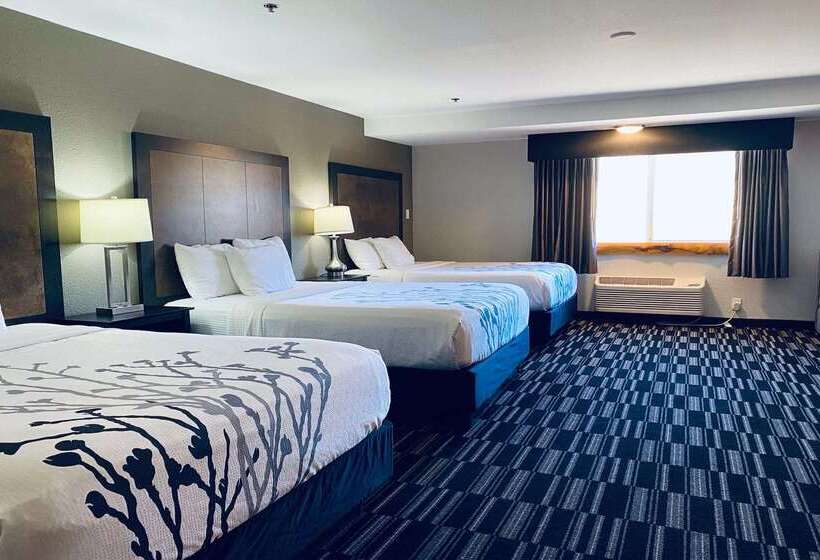 هتل La Quinta Inn By Wyndham Steamboat Springs