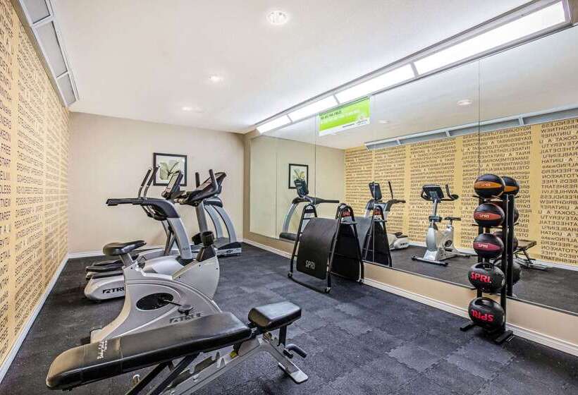 هتل La Quinta Inn & Suites By Wyndham Corpus Christi Northwest