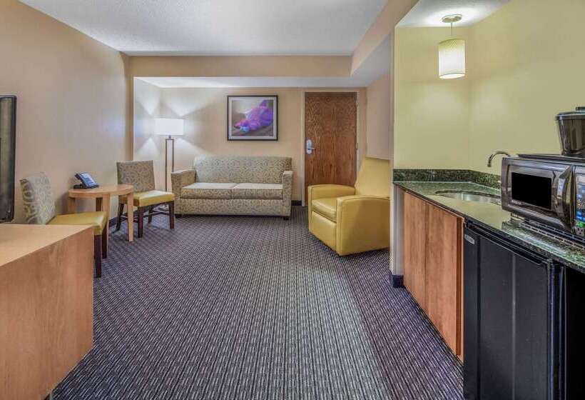 هتل La Quinta By Wyndham Naples Downtown