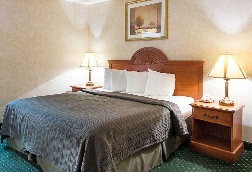 酒店 Quality Inn Petersburg Near Fort Greggadams