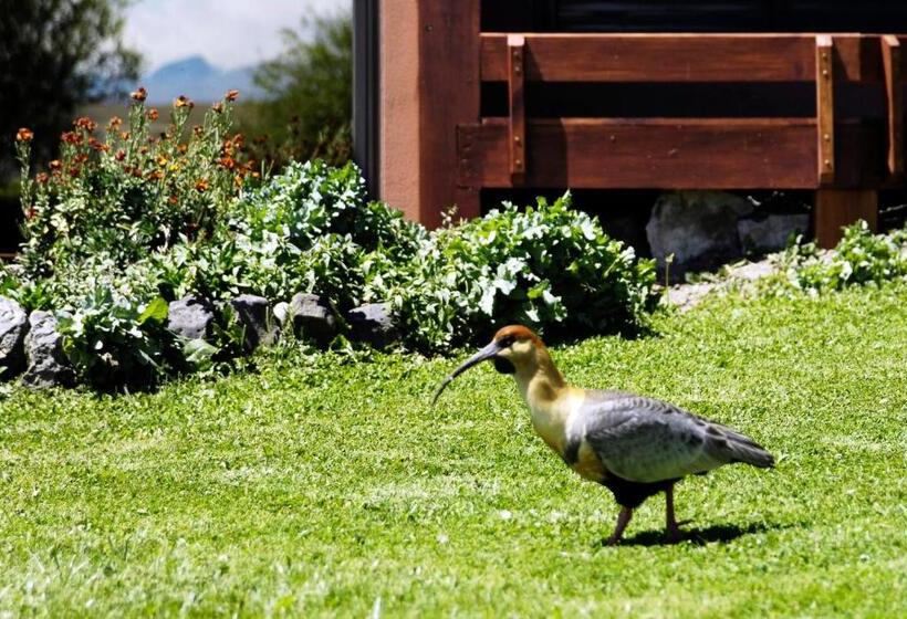Fotos del hotel Sierra Nevada:  6