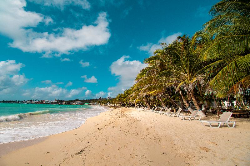 Fotos del hotel Arena Blanca By Dorado:  19