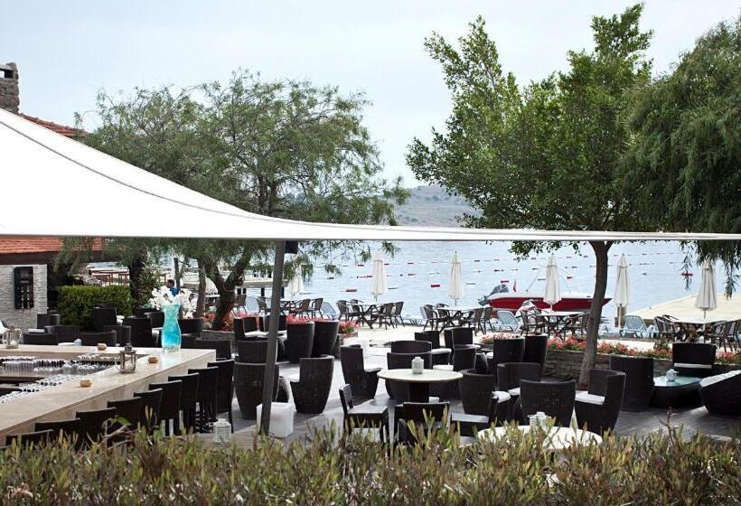 هتل Divan Bodrum Palmira