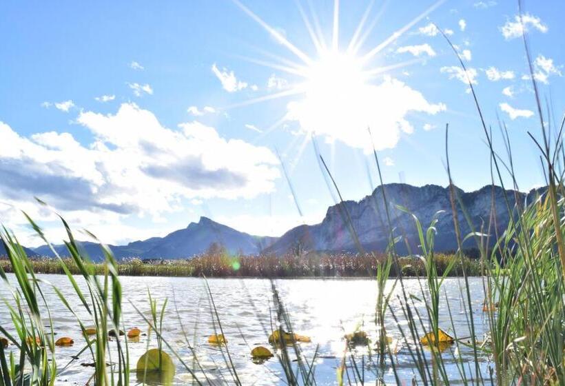 هتل Drachenwand   Mondsee